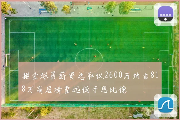 掘金球员薪资总和仅2600万纳吉818万高居榜首远低于恩比德
